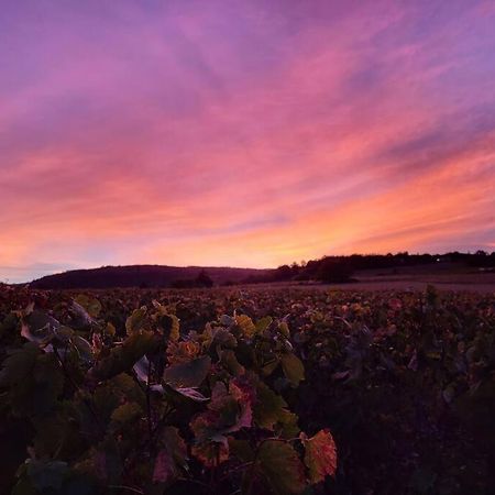 Le Clos Du Botaniste Pouilly-le-Monial Esterno foto