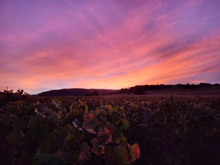 Le Clos Du Botaniste Pouilly-le-Monial Esterno foto