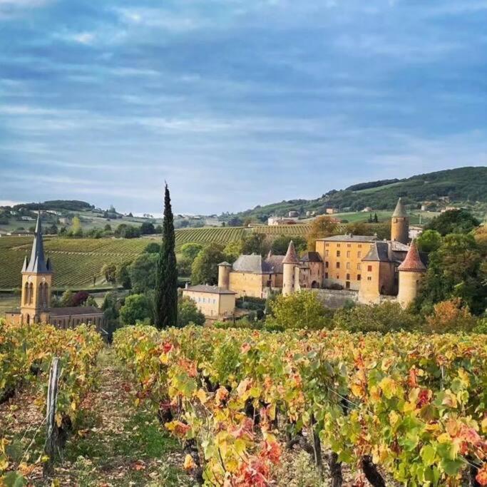 Le Clos Du Botaniste Pouilly-le-Monial Esterno foto